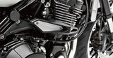 KAWASAKI FRAME SLIDER SET Z900RS